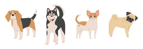 Dogs vector illustration.