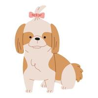 shih tzu linda en un blanco fondo, vector ilustración.