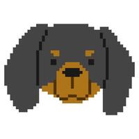 Dachshund Head Pixel 1cute on a white background, vector illustration.