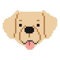 Golden Retriever Head Pixel 1 cute on a white background, vector illustration.