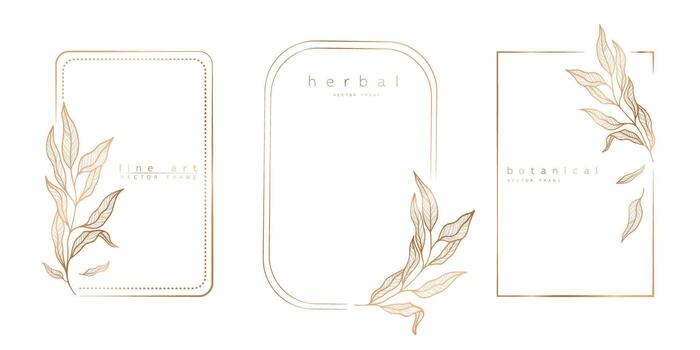 Set of frame templates in minimal linear style with hand drawn branches and leaves. Elegant frame. Botanical vector illustration for labels, corporate identity, wedding invitation, logo, save the date