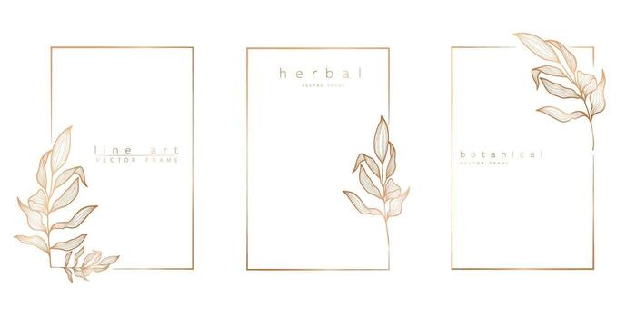 Set of frame templates in minimal linear style with hand drawn branches and leaves. Elegant frame. Botanical vector illustration for labels, corporate identity, wedding invitation, logo, save the date
