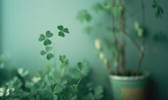 AI generated Clover plant in pot on blue wall background with copy space. photo