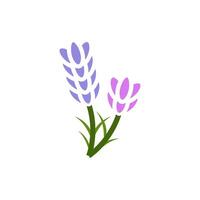 lavender icon vector design templates