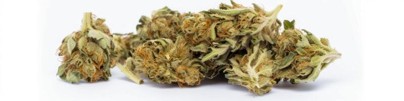 AI generated Cannabis buds on white background photo
