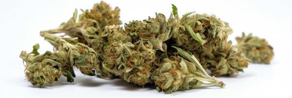 AI generated Cannabis buds on white background photo