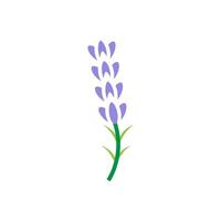 lavender icon vector design templates