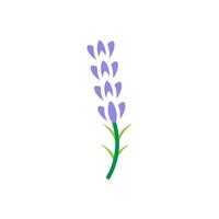 lavender icon vector design templates