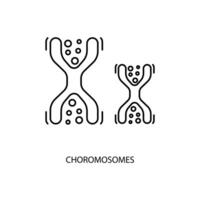 choromosomes concept line icon. Simple element illustration. choromosomes concept outline symbol design. vector