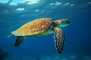 ai generado mar Tortuga submarino nadando en el azul mar. vívido azul Oceano con tortuga. escafandra autónoma buceo con salvaje acuático animal. foto