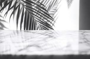 AI generated abstract background of shadows palm leaves on a white wall photo