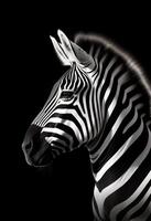 AI generated A monochrome photo of a zebra with a black background