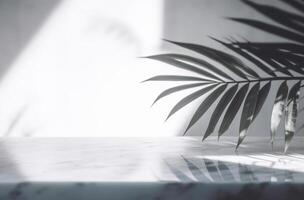 AI generated abstract background of shadows palm leaves on a white wall photo