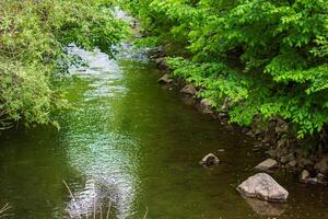 green nature, spring scenery photo