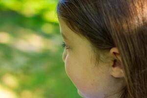 pretty little girl in the nature, girl in summer photo