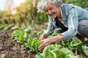 AI generated Elderly Woman Tending to Her Vegetable Garden with AI generated. photo