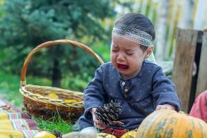 the little child playing in the park with fruits, little girl in the autumn park photo