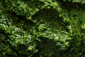 AI generated Close-Up Green Seaweed Texture with Bubbles. photo