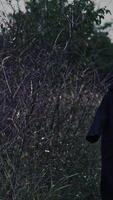 Death walking in field. Ghost in black cloak with hood walking in field Vertical video