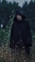 Spooky figure standing in field. Lone hooded figure standing in a field looking at the camera Vertical video