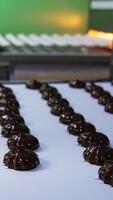 Marshmallows coated in black chocolate on the conveyor belt. The conveyor with white zephyr candies at the background in blur. Vertical video