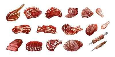 conjunto de dibujado a mano de colores bocetos de diferente tipos de carne, filetes, pollo, brochetas, tocino, filete de lomo, cerdo, carne de res, jamón, parilla. Clásico ilustración en blanco antecedentes. vector