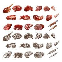 Set of hand-drawn colored and monochrome sketches of different types of meat, steaks, chicken, kebabs, bacon, tenderloin, pork, beef, ham, barbecue. Vintage illustration. vector