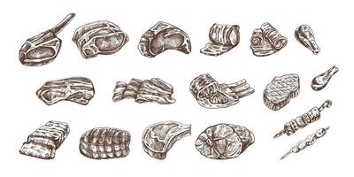 Set of hand-drawn sketches of different types of meat, steaks, chicken, kebabs, bacon, tenderloin, pork, beef, ham, barbecue. Vintage illustration on white background. vector