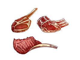 Organic food. Hand-drawn colored vector sketches of pork, beaf, lamb ribs, piece of meat, set. Doodle vintage illustration. Decorations for the menu of cafes and labels. Engraved image.