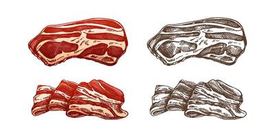 Hand-drawn colored and monochrome vector sketch set of bacon, hamon or pork meat, ham slices. Italian prosciutto vintage sketch. Butcher shop. Great for label, restaurant menu. Engraved image.