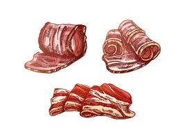 Hand-drawn colored vector sketch set of bacon, hamon or pork meat, ham slices. Italian prosciutto vintage sketch. Butcher shop. Great for label, restaurant menu. Engraved image.