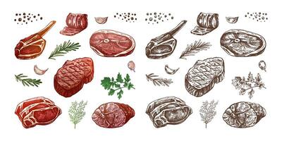 Set of hand-drawn colored and monochrome sketches of barbecue meat pieces with herbs and seasonings. For the design of the menu of restaurants and cafes, steaks. Vintage doodle illustration. vector