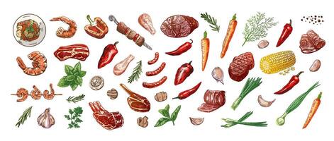 conjunto de dibujado a mano de colores bocetos de parilla y picnic elementos, carne. para el diseño de el menú, A la parrilla alimento. garabatear Clásico ilustración. grabado imagen. vector