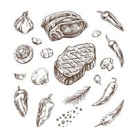 Set of hand-drawn sketches of barbecue elements. For the design of the menu of restaurants and cafes, grilled food. Pieces of meat and vegetables with seasonings. vector
