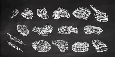 Set of hand-drawn sketches of different types of meat, steaks, chicken, kebabs, bacon, tenderloin, pork, beef, ham, barbecue. Vintage illustration on chalkboard background. vector