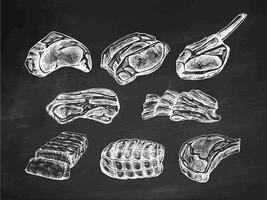 A set of hand-drawn sketches of meat pieces, beef steak, ham, pork on chalkboard background. Fresh raw meat products. For design of menu for restaurants, butcher shop. vector