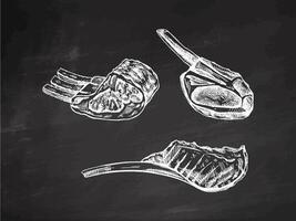 Hand-drawn vector sketches of pork, beaf, lamb ribs, piece of meat, set. Doodle vintage illustration on chalkbaord background. Decorations for the menu of cafes and labels. Engraved image.