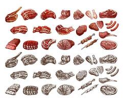 Set of hand-drawn colored and monochrome sketches of different types of meat, steaks, chicken, kebabs, bacon, tenderloin, pork, beef, ham, barbecue. Vintage illustration. vector