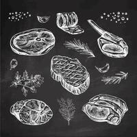 Set of hand-drawn sketches of barbecue meat pieces with herbs and seasonings on chalkboard background. For design of the menu, steaks. Vintage illustration. The engraved image. vector