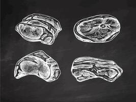 Hand-drawn sketches of pieces of meat, pork or beef steak, chop meat, bacon, piece of meat cuts, vector illustration. Raw meat. Vintage illustration on chalkboard background. Decorations for menu.