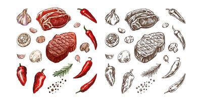 Set of hand-drawn colored and monochrome sketches of barbecue elements. For the design of the menu of restaurants and cafes, grilled food. Pieces of meat and vegetables with seasonings. vector