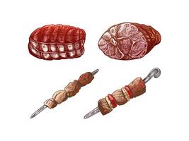 conjunto de dibujado a mano de colores bocetos de carne piezas, jamón, cerdo, seco carne, brochetas Fresco carne productos para diseño de menú, Carnicero tienda. vector