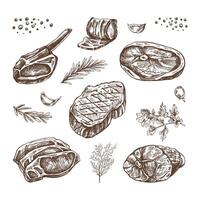 Set of hand-drawn sketches of barbecue meat pieces with herbs and seasonings. For the design of the menu of restaurants and cafes, steaks. Vintage doodle illustration. The engraved image. vector