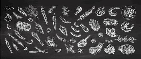 Set of hand-drawn sketches of barbecue and picnic elements, meat on chalkboard background. For the design of the menu, grilled food. Doodle vintage illustration. Engraved image. vector