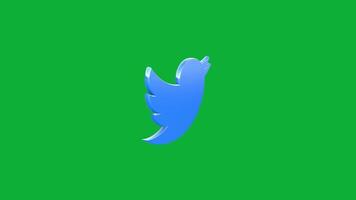 nahtlos Twitter Symbol Animation - - verbessern Ihre Inhalt visuell Beschwerde video