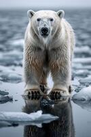 ai generado polar oso en pie en hielo foto