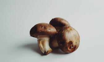 AI generated Shiitake mushrooms on a white background, close-up photo