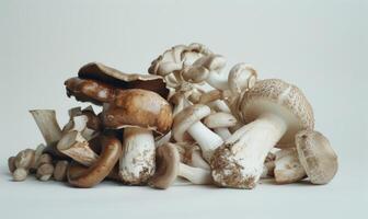 AI generated Mushrooms on a white background. Shallow depth of field. photo