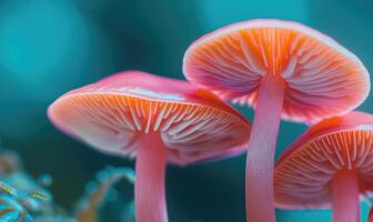 AI generated Mushroom in the forest, close-up, macro photography. fly agaric on a blue background photo