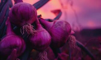 AI generated Onion on the field at sunset. Selective focus. Shallow depth of field photo